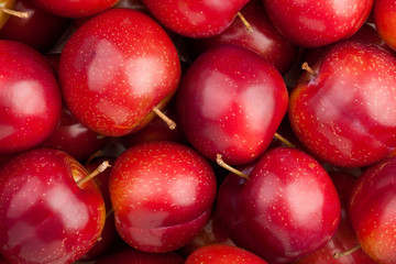 red plum