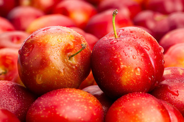 red plum