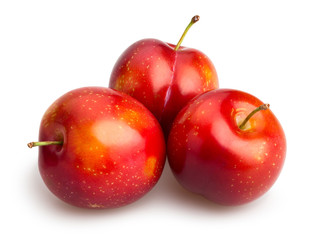 red plum