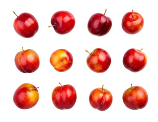 red plum