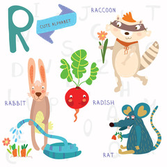 Very cute alphabet.R letter.Rat, raccoon, radishes, rabbit.