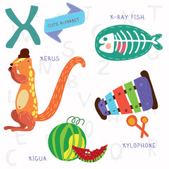 Very cute alphabet.X letter. Xerus,x-ray fish,xylophone,xigua