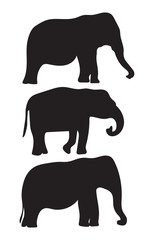 black sillhouettes of elephants