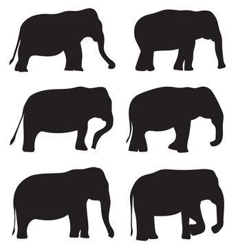 black silhouettes of elephants