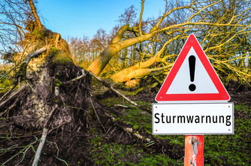 Umgestürzter Baum Sturmwarnung 