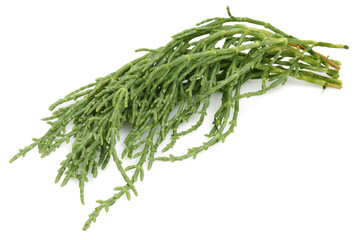 Samphire, salicornia