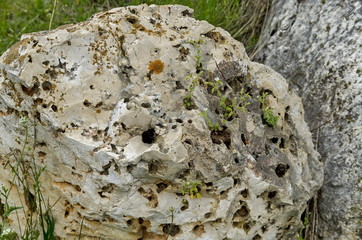 General view toward sedimentary  boulder in the field, Ludogorie, Bulgaria