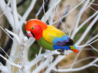 Colorful display of artificial parakeet objects