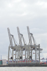 Fototapeta premium 3 Kraene am Containerterminal