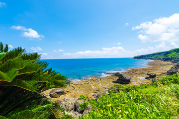 Fototapeta na wymiar Blue sky and majestic reefs, Okinawa, Japan