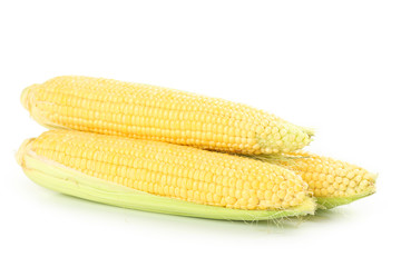 Corns isolated on a white