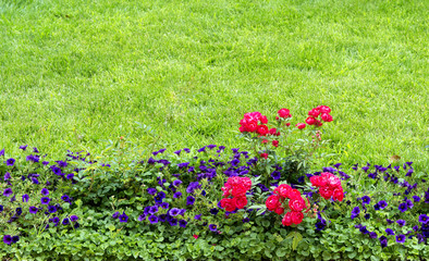  flowerbed with flowers