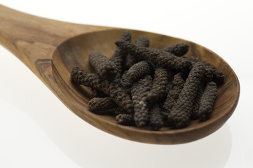 Langer Pfeffer oder Stangenpfeffer (Piper longum) auf einem Löffel aus Olivenholz