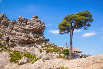 Fototapeta na wymiar Nature of Corsica island, mountain landscape