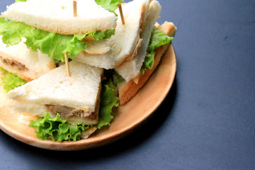 tuna sanwich on black background