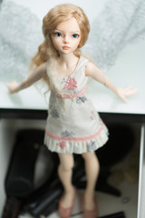 doll in a box on a light background. blurred rear plan