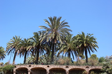 Fototapeta premium Viadukt im Garten von Park Güell in Barcelona