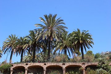 Fototapeta premium Ein Teil der Parkanlage im Park Güell in Barcelona