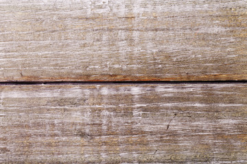 grunge wood texture beautiful background for design
