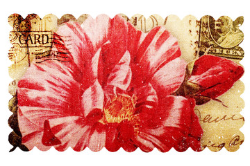 Vintage Rose postcard