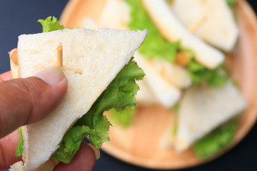 tuna sanwich on black background