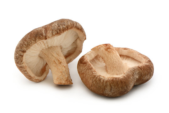 2 Shiitake