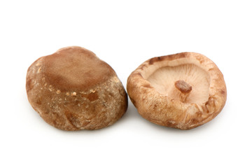 2 Shiitake