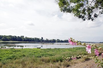 Une vue de Bouchemaine, La pointe, confluence de la Maine et de la Loire (France)