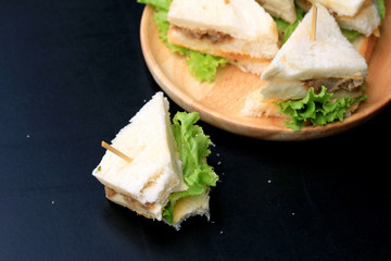 tuna sanwich on black background