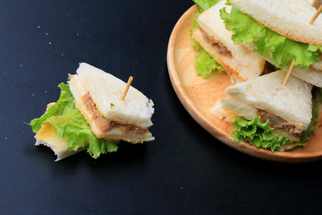 tuna sanwich on black background