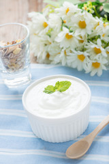 Obraz na płótnie Canvas Yogurt in a ceramic bowl with muesli.