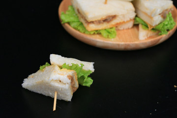 tuna sanwich on black background