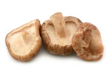 3 Shiitakepilze