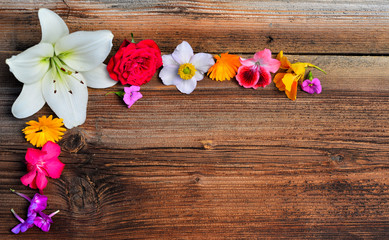 Blumen auf  Holz Hintergrund