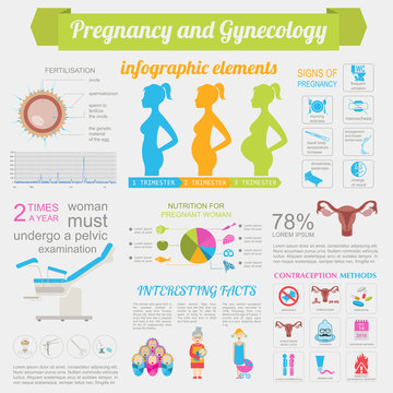 Gynecology and pregnancy infographic template. Motherhood elemen