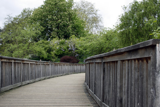 ponte di legno