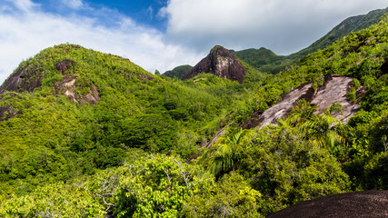 Seychellen Gebirgs-Urwald