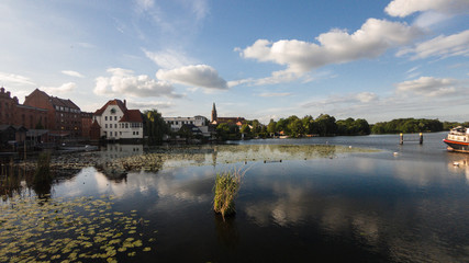 Fototapeta na wymiar Dominsel Brandenburg an der Havel