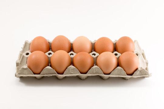 Ten Eggs in egg tray