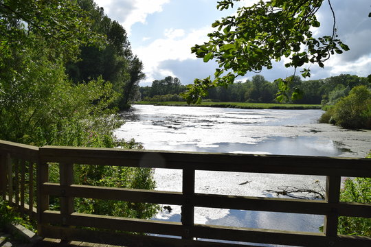 Seitenarm der Schlei