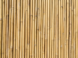 bamboo fence