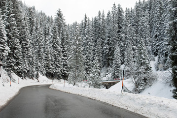 Mountain Road, Austria