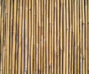bamboo fence