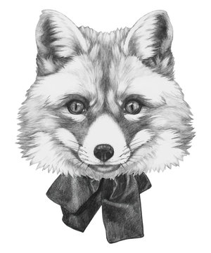 Hand drawn portrait of Fox with bow. Vector isolated elements.