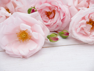 Pale pink roses bouquet on the rustic wooden background