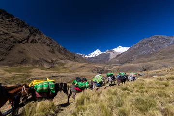 Cercles muraux Alpamayo Paysage de montagne dans les Andes, Pérou, Cordiliera Blanca