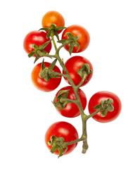 Fresh Cherry tomatoes branch on white background