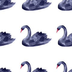 watercolor illustration