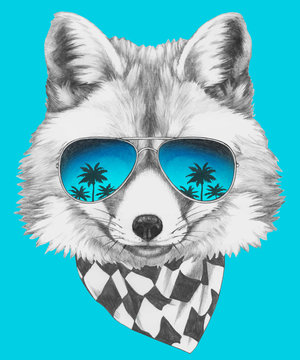 Prtrait of Fox with sunglasses. Vector isolated elements.