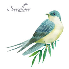Illustration of a bird - 88557809